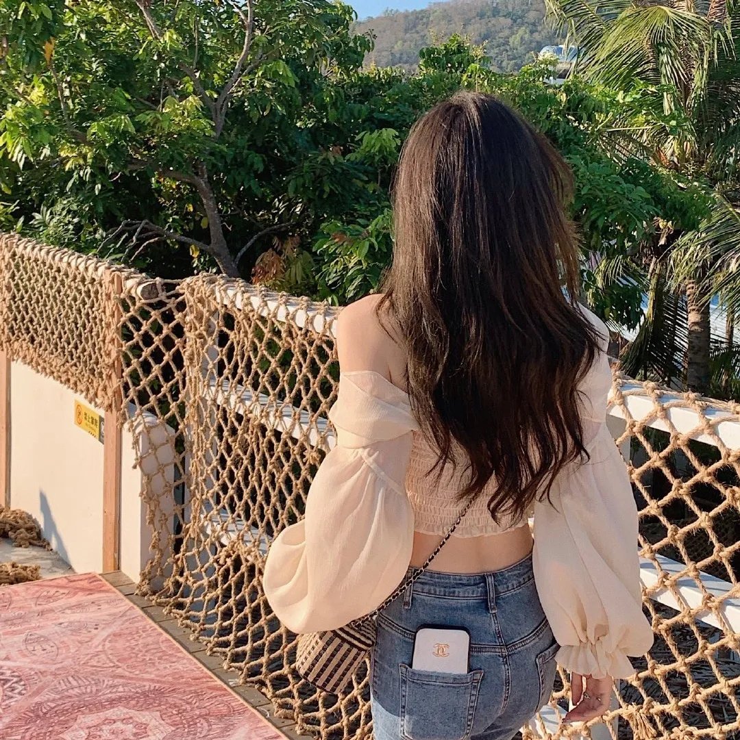 飞虎之潜行极战国语